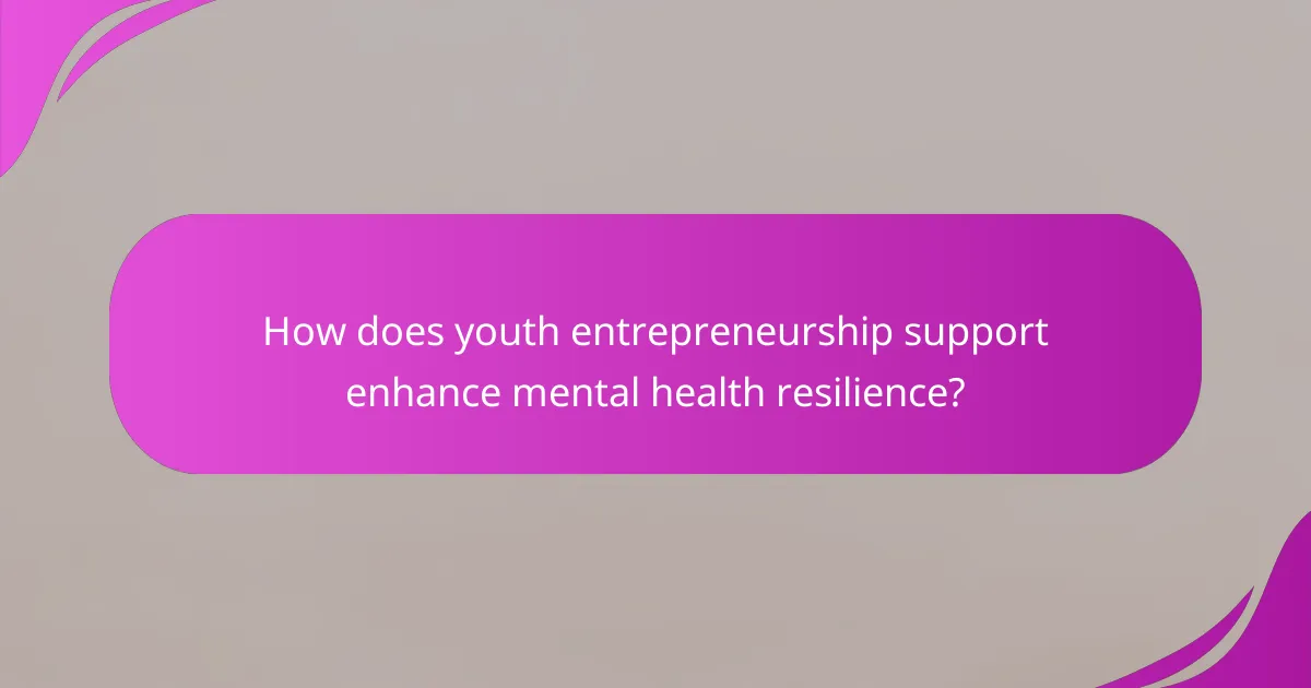 How does youth entrepreneurship support enhance mental health resilience?