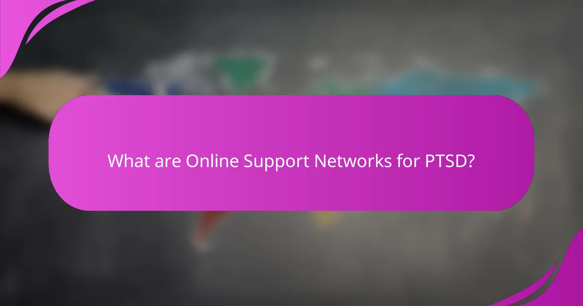 What are Online Support Networks for PTSD?