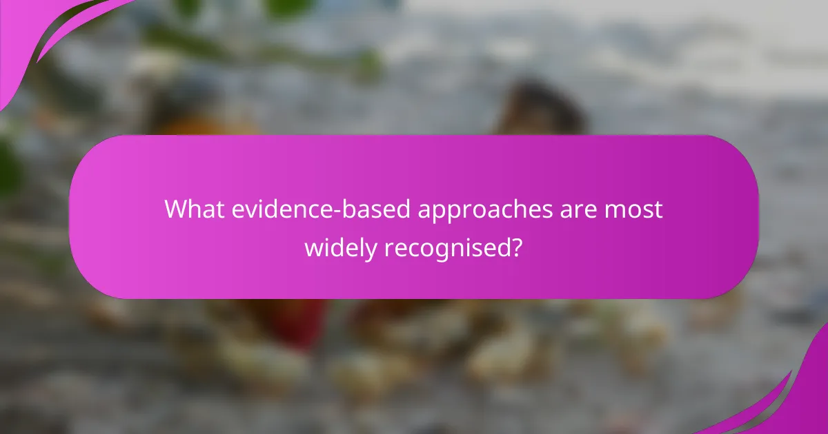 What evidence-based approaches are most widely recognised?