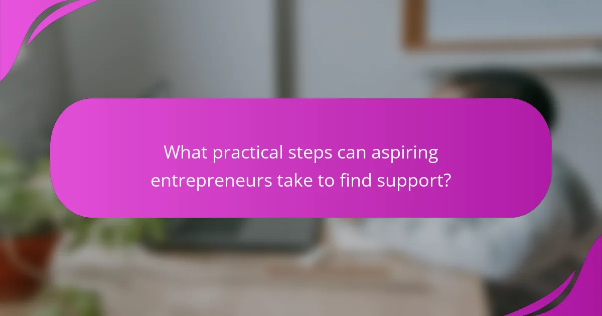 What practical steps can aspiring entrepreneurs take to find support?