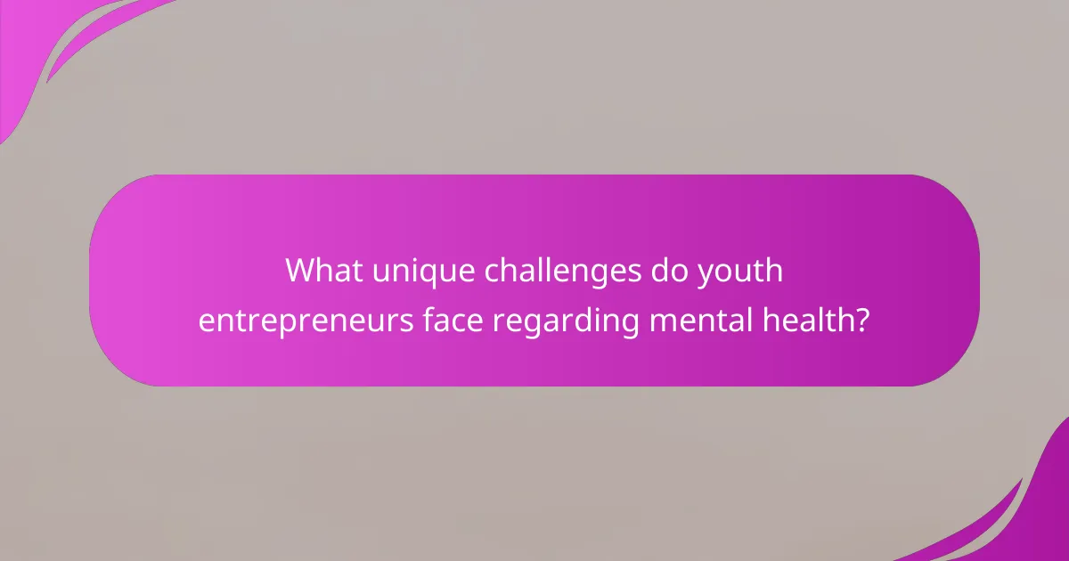 What unique challenges do youth entrepreneurs face regarding mental health?